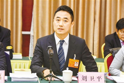 访省人大代表,漯河市平平食品有限责任公司董事长刘卫平