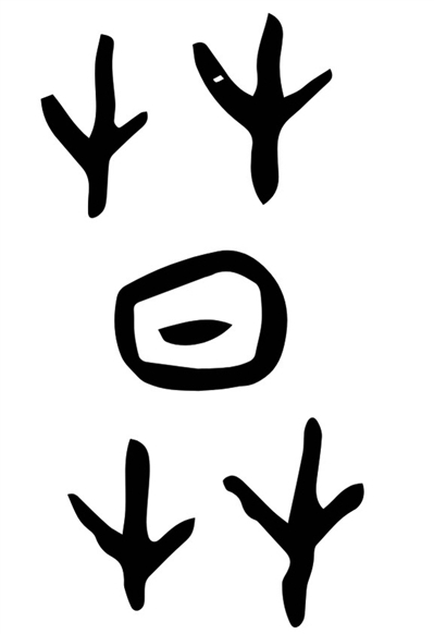 张 晗  